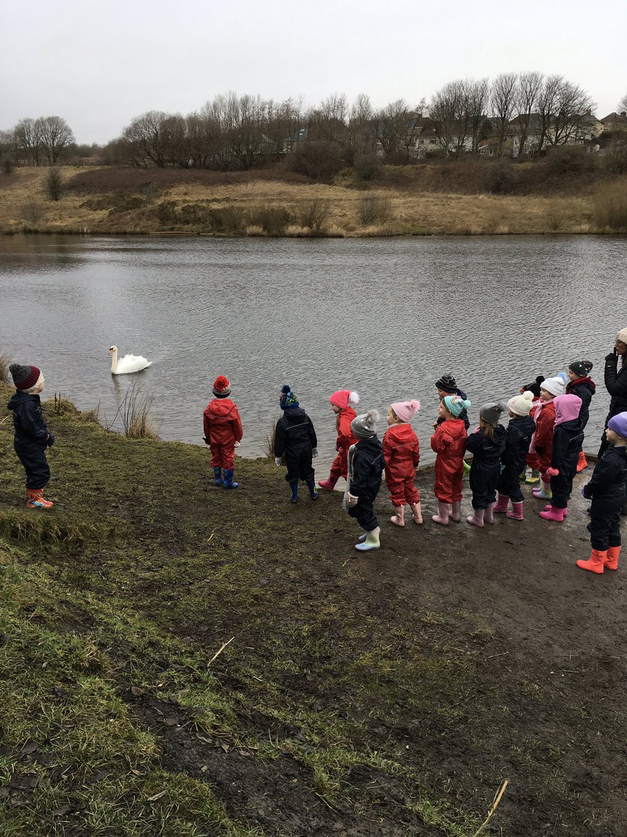 MrsPBHPS's tweet photo. Today #receptionbhps went for a walk to @BeaufortWood where we walked through mud, stamped over a bridge, went up and down steps and were fascinated by a swan. @BeaufortHillPri #simplethings #ethicallyinformedcitizens #healthyconfidentindividuals https://t.co/LZdYZO8o2c