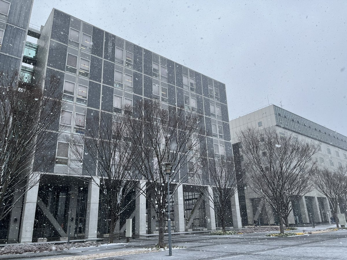 博士論文製本を無事に提出できました。指導教員が博論を提出した日の空は青かったと仰っていたのが印象に残っており、私の瞳にはどう映るのか楽しみにしていました。今日は雪模様。これはこれで忘れられない景色になりそう。