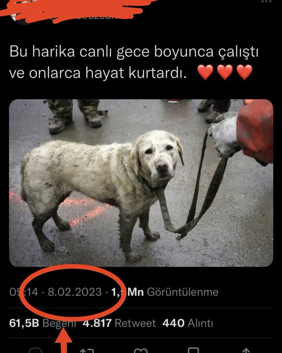 sedatcagirgan's tweet photo. Yeter artık!

Günlerdir bölgedeki arkadaşlarımıza ulaşmaya, ulaşabildiklerimize destek olmaya, diğer insanlara yardım etmeye çalışırken birileri hâlâ "önce köpek" diyerek YALAN verilerle algıya devam ediyor. https://t.co/RVFuDP5n9a