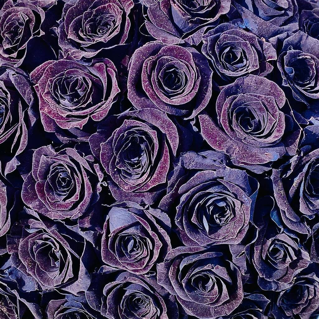 acultus_de's tweet photo. Photo @gg_designart #nicolaibergmann #floralart Galery Tokyo #flowerdesign 
#flowerdesigner @nicolaibergmann #acultus #gg_designart #designart #prayforsyria #prayforturkey https://t.co/HYBkpy5d4p
