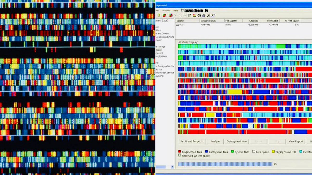Stephan95105295's tweet photo. À gauche, une image de notre ADN sous un microscope à un grossissement maximal.
-A droite, les secteurs de mémoire lors de la défragmentation d'un disque dur👇 https://t.co/XCRi7gYOtb