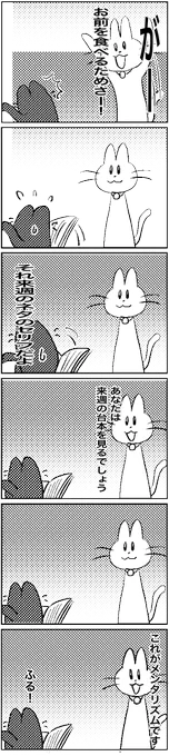 #いわねこ
244 