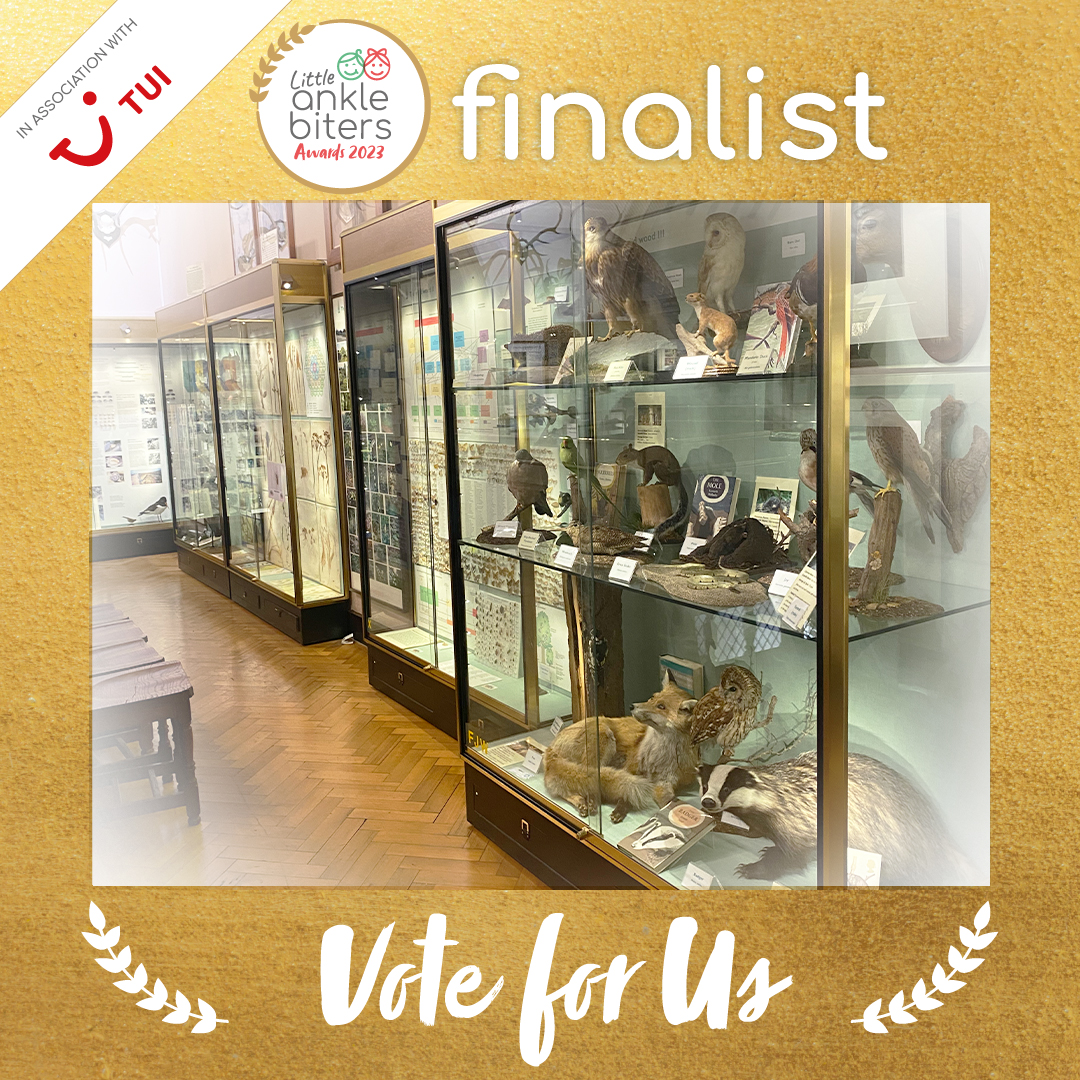 We are excited to announce that our Natural History Museum has been nominated as a finalist. 

If you enjoy your visits to our Museum, we would be delighted if you voted for us. 

ow.ly/Qk1150MP6u4