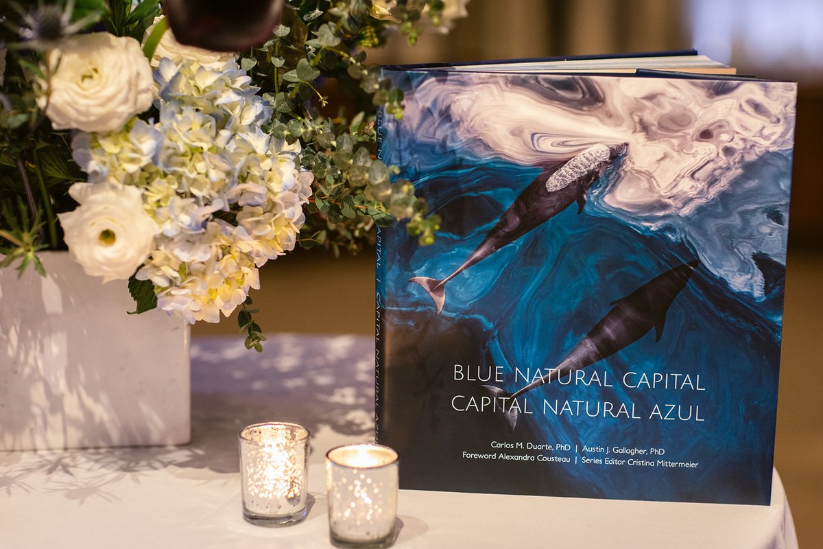 New book 'Blue Natural Capital' by @mitty uses powerful imagery from @Sea_Legacy to educate and inspire readers to think about the ocean. Blue Natural Capital showcases the value of blue carbon habitats and the relationship between humanity and the oceans.🌊 #bluenaturalcapital