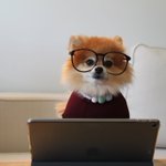 Photo by Jobboard Finder (@JobboardFinder)
