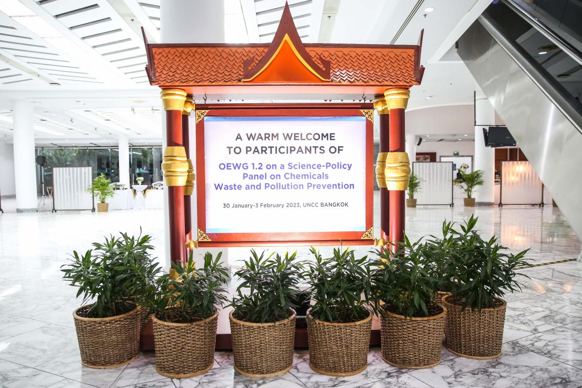 We urgently need more gender data and research on chemicals and waste and their impacts on human health - that is why we, together with the Women's Major Group, advocated for a gender-responsive Science-Policy Panel last week in Bangkok: gender-chemicals.org/brief-report-o…