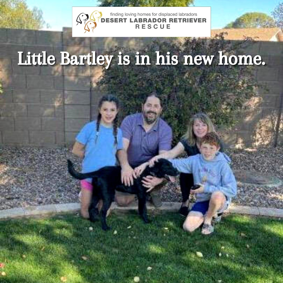 Desert Lab Rescue tweet media