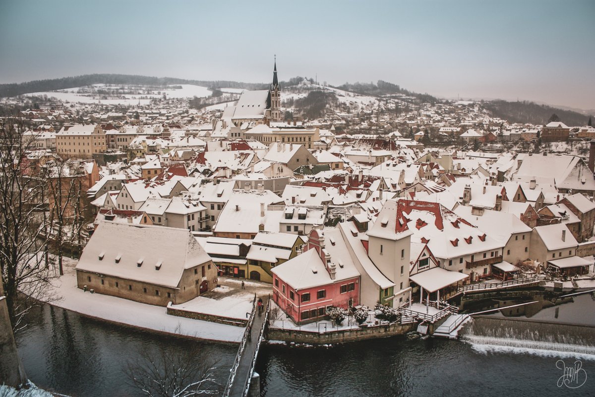 jmibarth's tweet photo. In 2010, I visited an @Evomics workshop in #CeskyKrumlov for the first time. In 2016, we started our own #evomics series: the #WPSG. This is the story that reflects on the ingredients that make these workshops so enjoyable and successful: https://t.co/sI0P6653Cy https://t.co/0buSKiSE4M