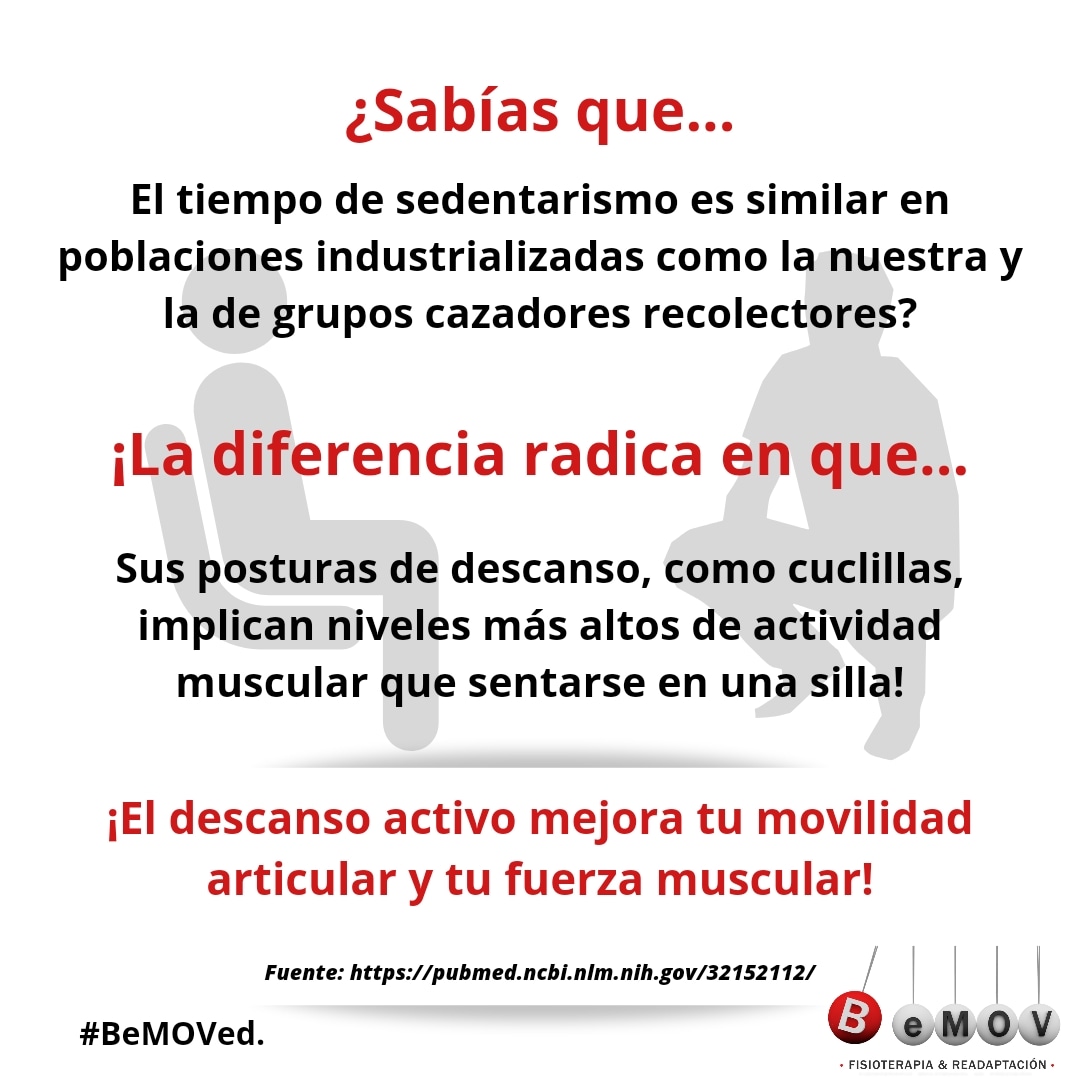 BeMOV Fisioterapia tweet media