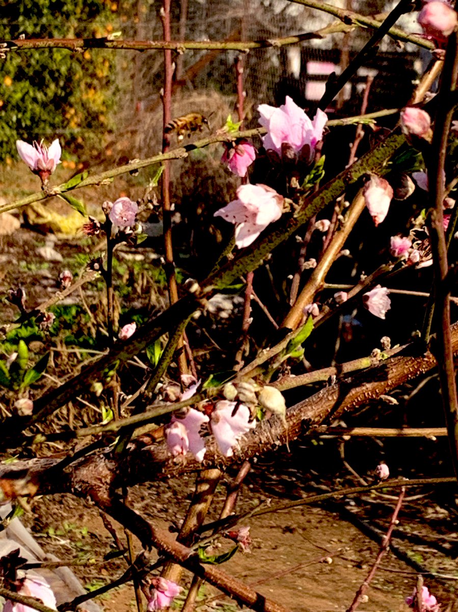 Ori Business tweet media