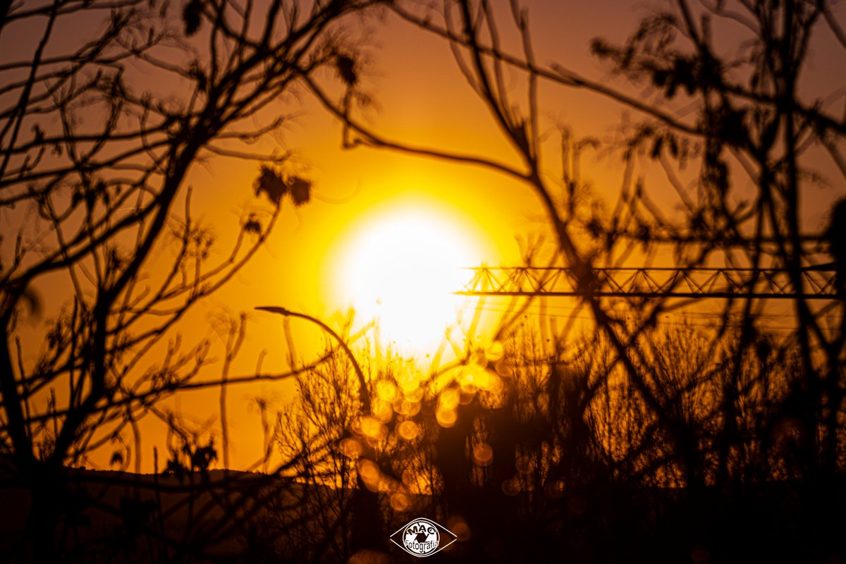 🏗️☀️OBRA EN EL SOL

#obra #atardecer #sunset #sundown #vegetación #atardecer #sun #sunnyday #febrero #fotografia #fotógrafa #macfotografia #photography #photographer #nikon #nikonista
