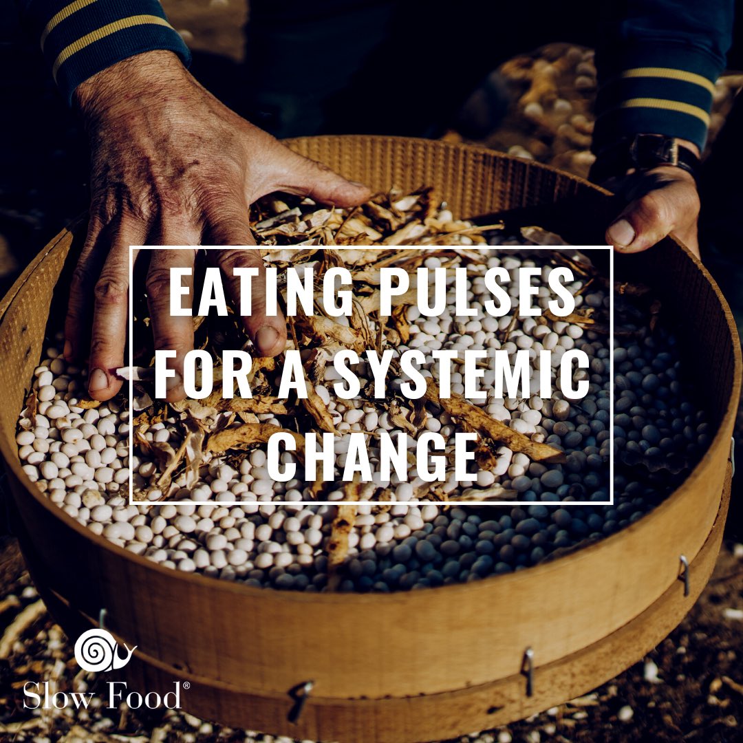 Slow Food Europe tweet media