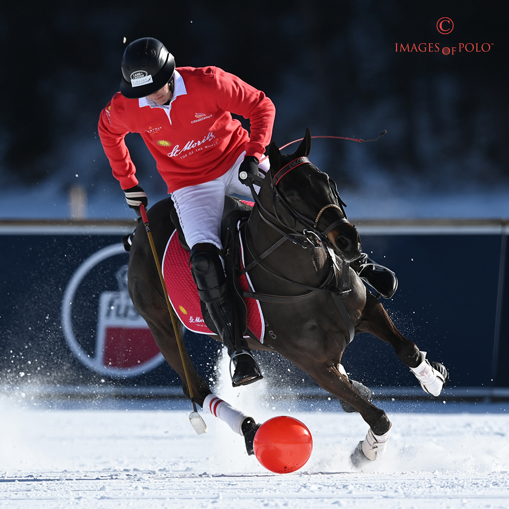 Images of Polo tweet media