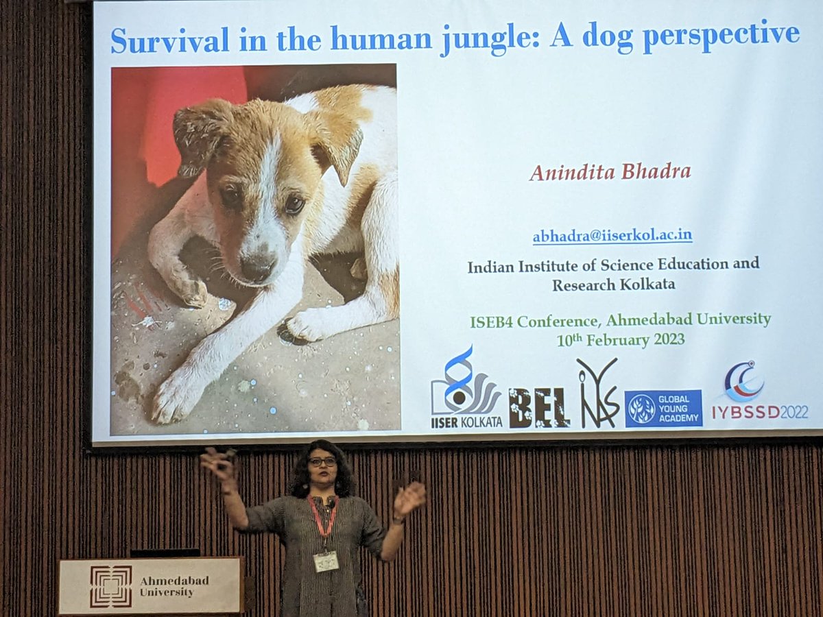 Abhadra7's tweet photo. It was great to present a brief overview of our work on #freerangingdogs at #iseb4 today. Thanks to @ManishJNV99 for capturing moments of the talk. All the discussion that followed, over lunch and tea was absolutely wonderful. #joyofscience @india_evolution https://t.co/W8nSFyhFIi