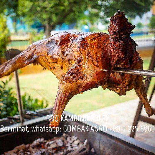 alfianhashim's tweet photo. KAMBING GOLEK &amp; BBQ TAHUN 2023
* Biri-biri sejuk beku dari Australia/New Zealand, berat karkas 13-15kg seekor.
* Berminat, boleh WhatsApp &amp; SMS &amp; hubungi : 019-225 6969.
* https://t.co/Ka0crqs9Na
Insyaallah, pasti menyelerakan &amp; memenuhi citarasa pelanggan.
Terima Kasih https://t.co/9dxpsgg46U