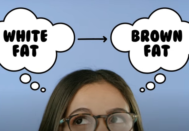 KevinFr14260515's tweet photo. You’ve probably never thought about the color of your fat as a contributor to gaining and retaining weight. So, what's the deal/difference between #whitefat and #brownfat and how does it affect #weightloss and #dieting? #loseweight https://t.co/f1BIrXNu1A https://t.co/3HSkc18q6v