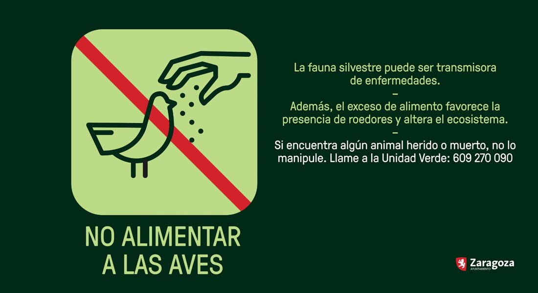 ⚠️IMPORTANTE
Tras detectar en las últimas semanas algunos ejemplares de gaviotas muertas o enfermas de gripe aviar en el término municipal de Zaragoza, te pedimos, en caso de localizar un ejemplar muerto o enfermo, que no lo manipules. 
Avisa a <a href="/AF_UnidadVerde/">AF_UnidadVerde</a> en el 609 270 090.