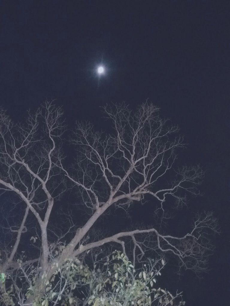 HashtagForget's tweet photo. กับบางคน...เราก็รอไปทั้งๆที่รู้ว่าจะไม่มีวันนั้นอยู่จริง
🌓🌗 https://t.co/YGEMx9W1jZ