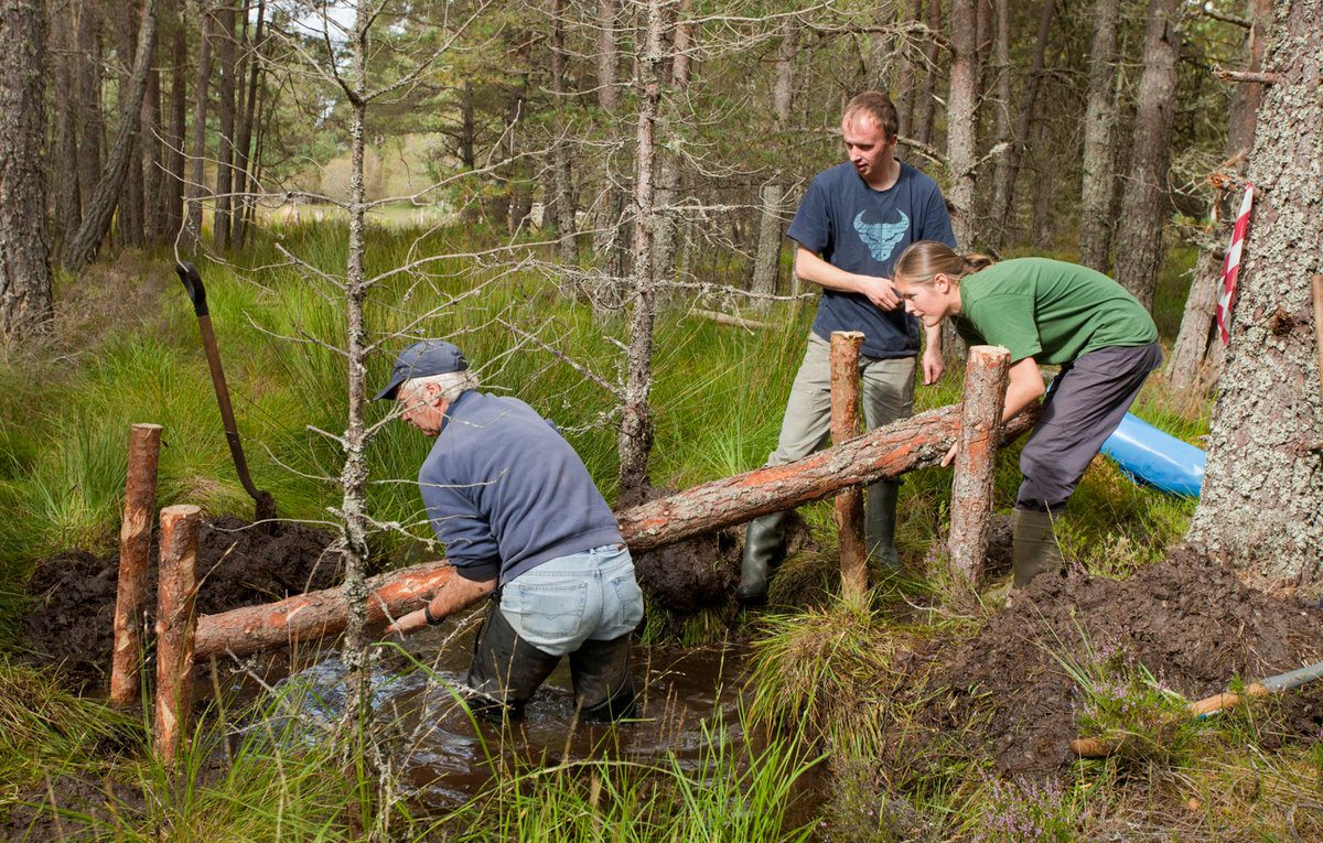 Kent Wildlife Trust on Twitter: "It's #StudentVolunteeringWeek! We have