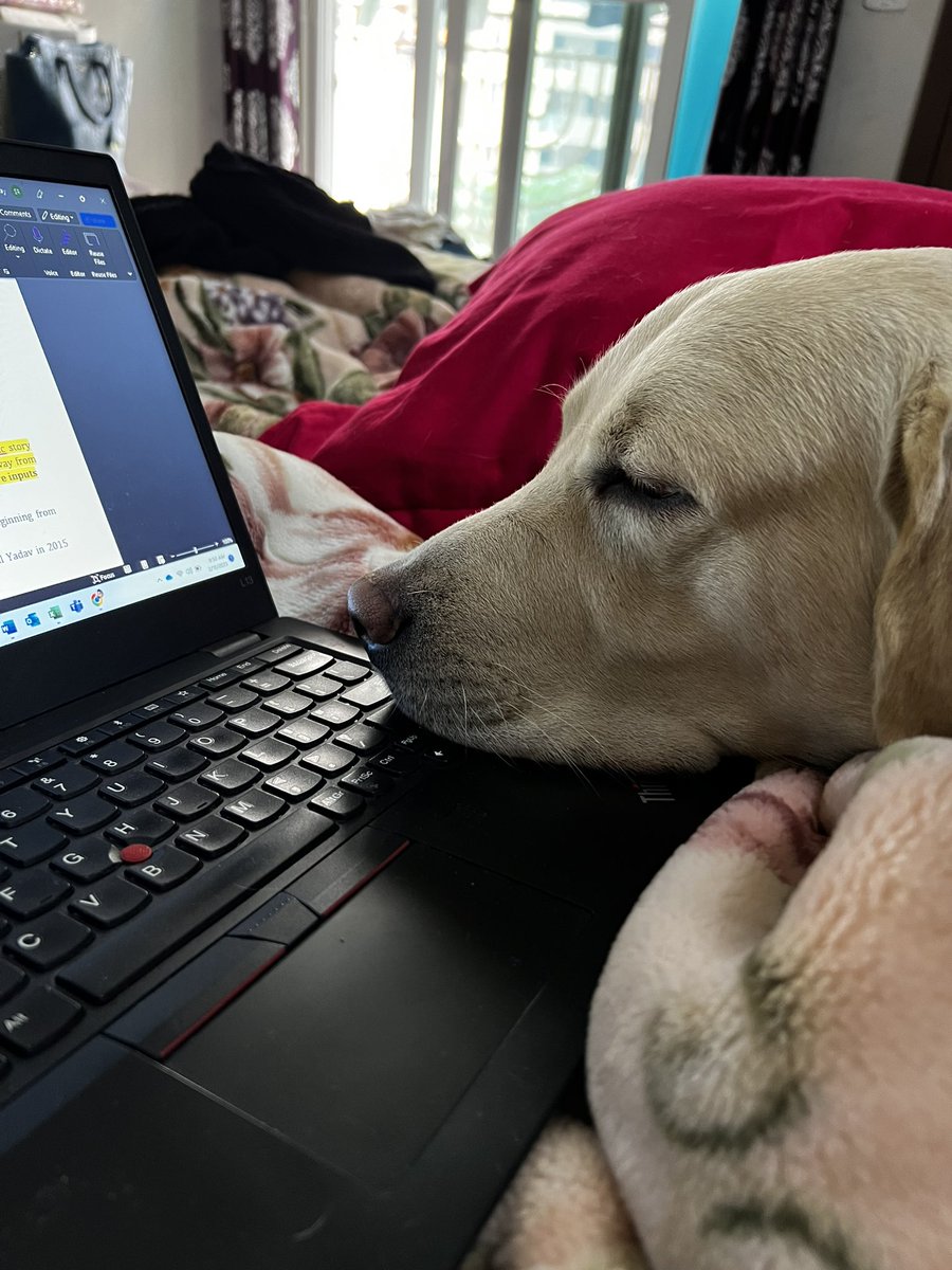 suchetanaray's tweet image. Even Taffy is bored seeing the nth draft of the same story 
#BoredAtWork