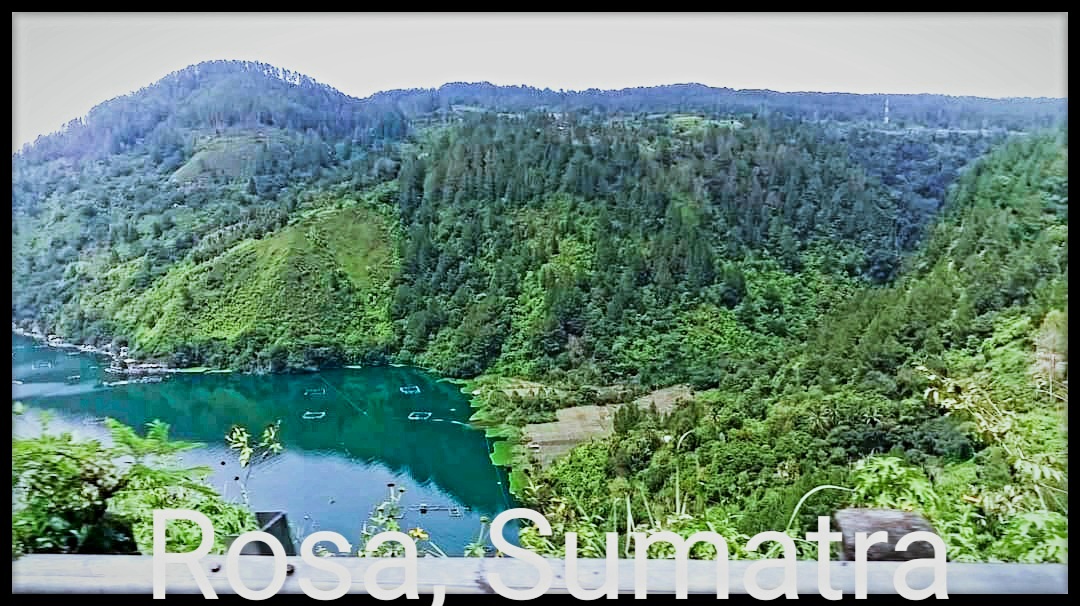 rosajeruszka's tweet photo. โMake your heart like a lake with a calm, still surface and great depths of kindness.โ ๐โฐ๏ธ๐๐ฉต๐ด๐ฌ๐ค๐ฒ
Look at this nature paradise lake
#TobaLake ,Sumatra ๐ฎ๐ฉ https://t.co/y6NrpShlE4