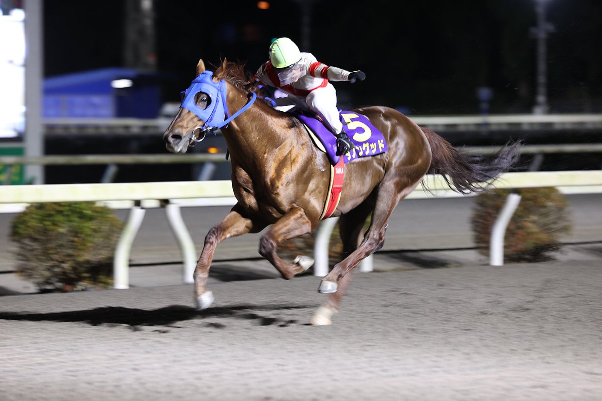 マイル路線の高知大将決定戦って感じ。ダノングッドが居たら完璧だった 