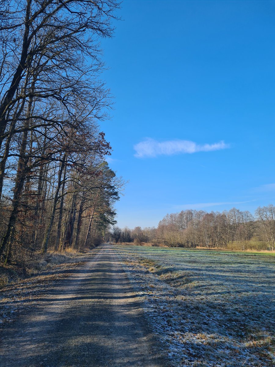 HerrHellblau's tweet photo. Frauchen war diese Woche krank und wir konnten keine so großen Runden gehen. Heute geht es ihr schon viel besser und wir waren  eine meiner Lieblingsrunden Gassi. Schaut mal: https://t.co/Hz3Ap6IcFV