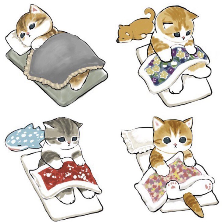 no humans pillow cat white background simple background animal focus futon  illustration images