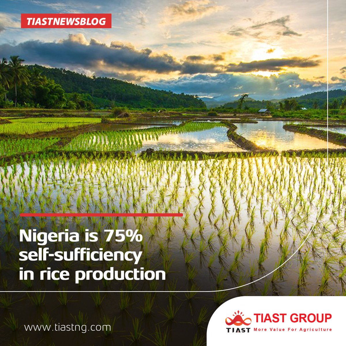 Nigeria Is 75% Self-sufficient In Rice Production

visit our website agroriches.com

#africa #market #industry #solution #agriculture
#agroriches #ghana #trade #world. #africa 
#china #projects #rice #nigeria #selfsufficiency #selfsufficient