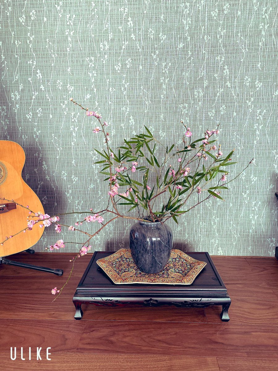 merrygoaround8's tweet photo. 梅の花が咲くと春が、もうすぐって感じだなぁ。切っていろいろ飾ってみたー。いい香り。
 #梅の花 https://t.co/8KXfw7wZ1d