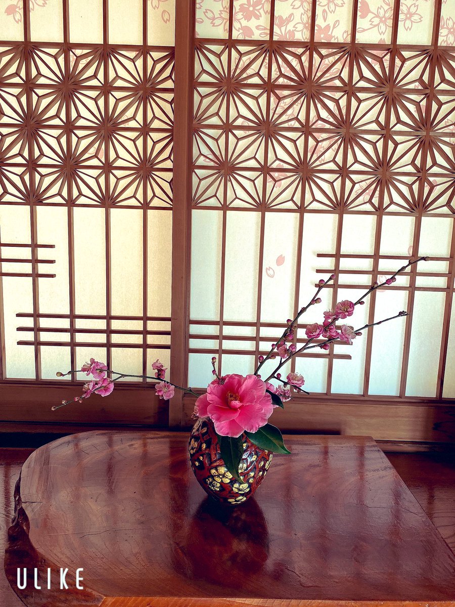 merrygoaround8's tweet photo. 梅の花が咲くと春が、もうすぐって感じだなぁ。切っていろいろ飾ってみたー。いい香り。
 #梅の花 https://t.co/8KXfw7wZ1d