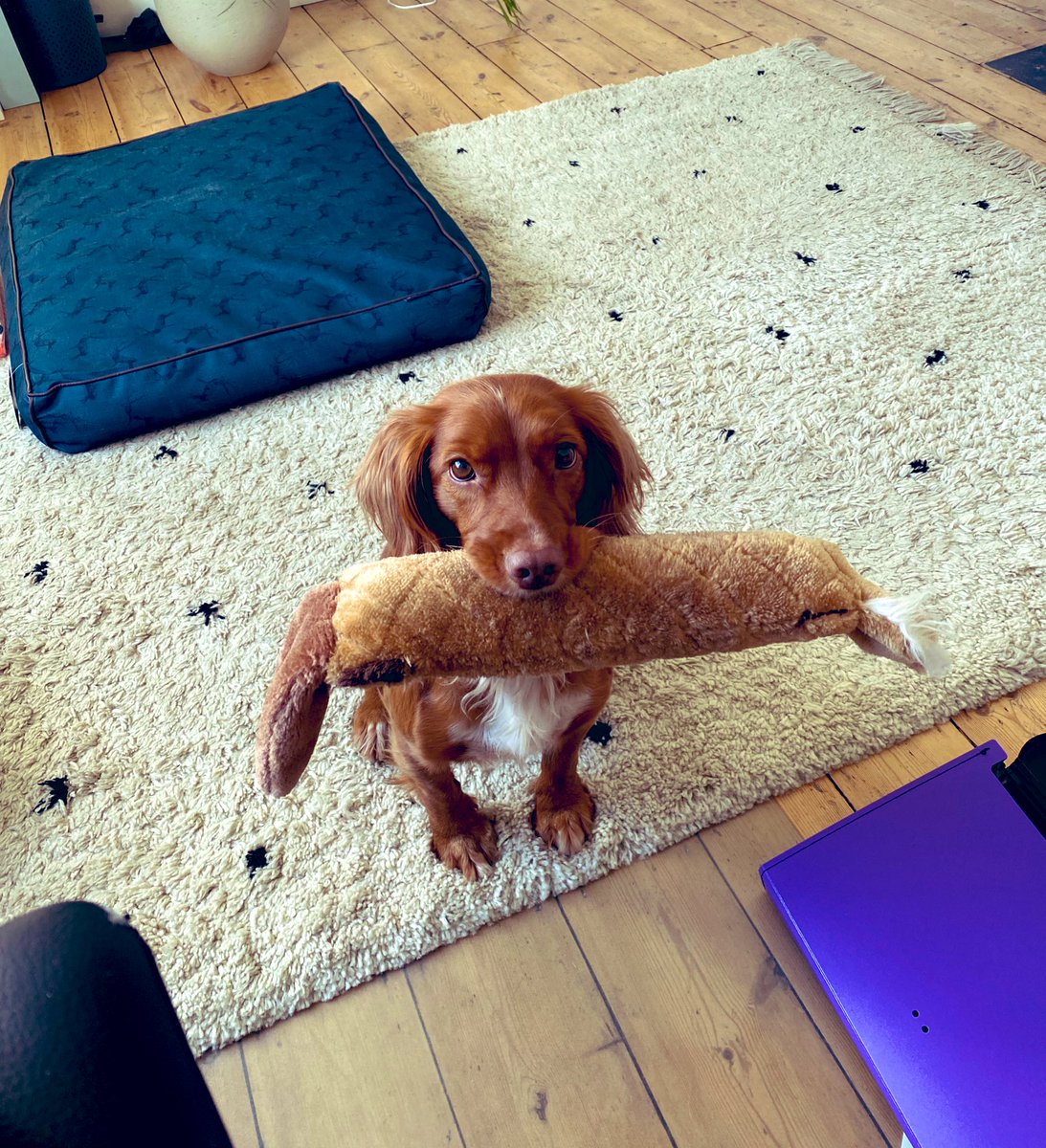 Bethan Carr tweet media