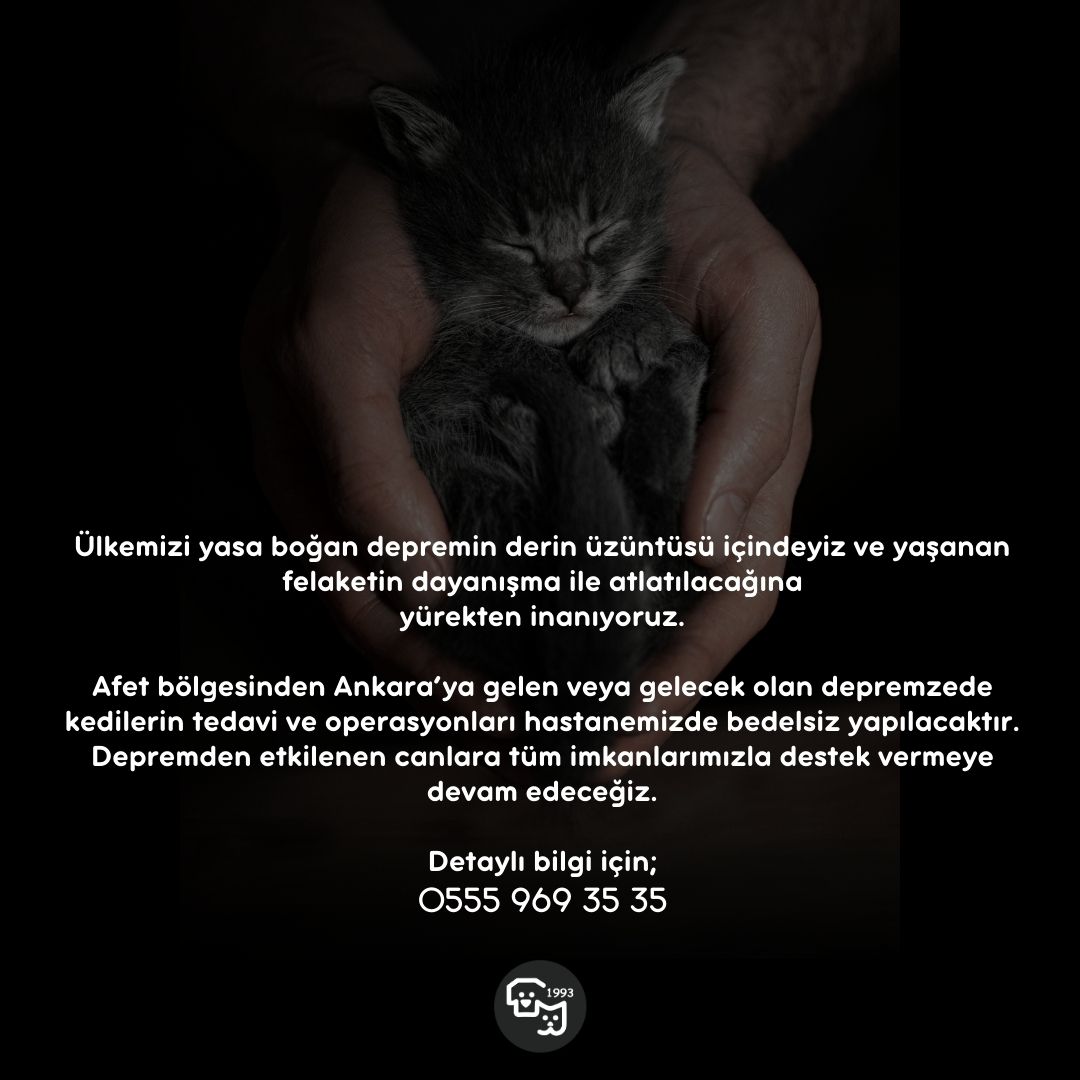 Afet bölgesinden Ankara’ya gelen veya gelecek olan depremzede kedilerin tedavi ve operasyonları hastanemizde bedelsiz yapılacaktır. Depremden etkilenen canlara tüm imkanlarımızla destek vermeye devam edeceğiz.

Detaylı bilgi için;
0555 969 35 35