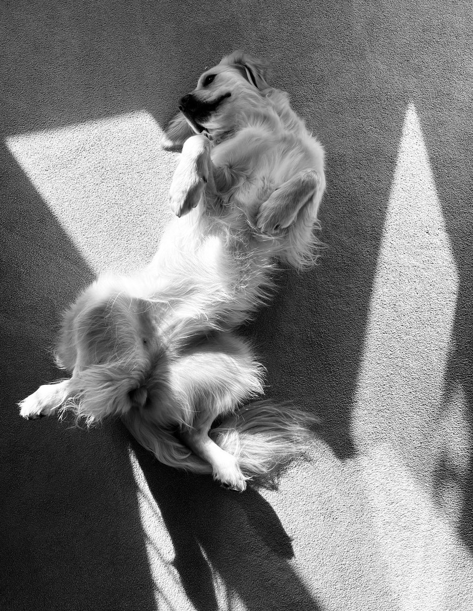 I call this piece, ‘The Transition’.