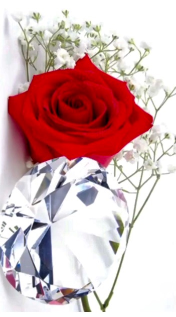 HennaBegum6's tweet photo. Rose’s &amp; diamonds 💎 are a girls best friend! https://t.co/6bN4f0afo1