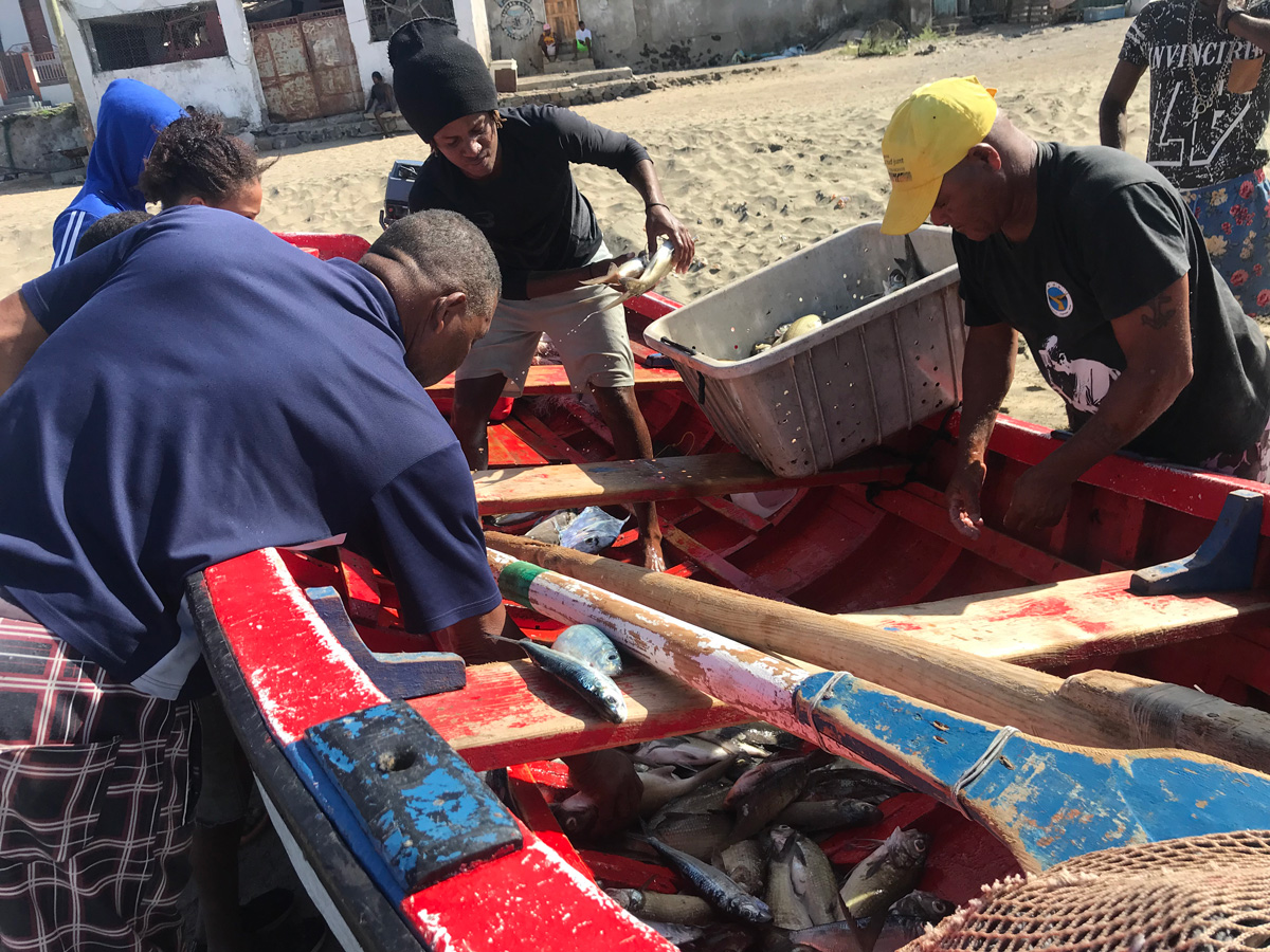 El grupo de Ecosistemas Marinos y Pesca de @alimentta resume aquí su trabajo durante el IX Congreso Internacional de Agroecologia. Multitud de iniciativas buscan transformar la cadena alimentaria pesquera hacia una mayor sostenibilidad y justicia social. soberaniaalimentaria.info/otros-document…