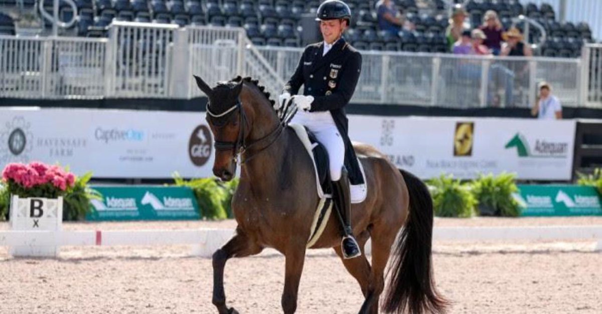 HorseNetwrk's tweet photo. Germany’s Frederic Wandres is a tough man to impress. #AGDF
Frederic Wandres & Bluetooth OLD Are Fully in Synch
https://t.co/ugjuQaCiNZ https://t.co/dmnXsnRECl