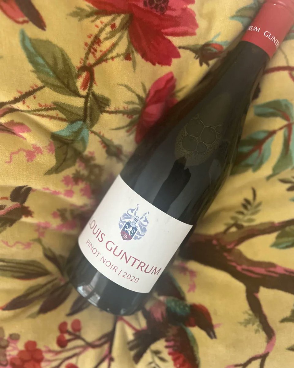 norfolk_wine's tweet photo. #FridayNightRed 🍷 Louis Guntrum Pinot Noir 2020.
This wine delivers plenty of ripe red fruit flavour supported by characteristic firm acidity. One for Pinot lovers everywhere and great with a Friday night pizza or bowl of pasta.
Available from Waitrose, on offer at £11.99. https://t.co/v0ggB9qiLC