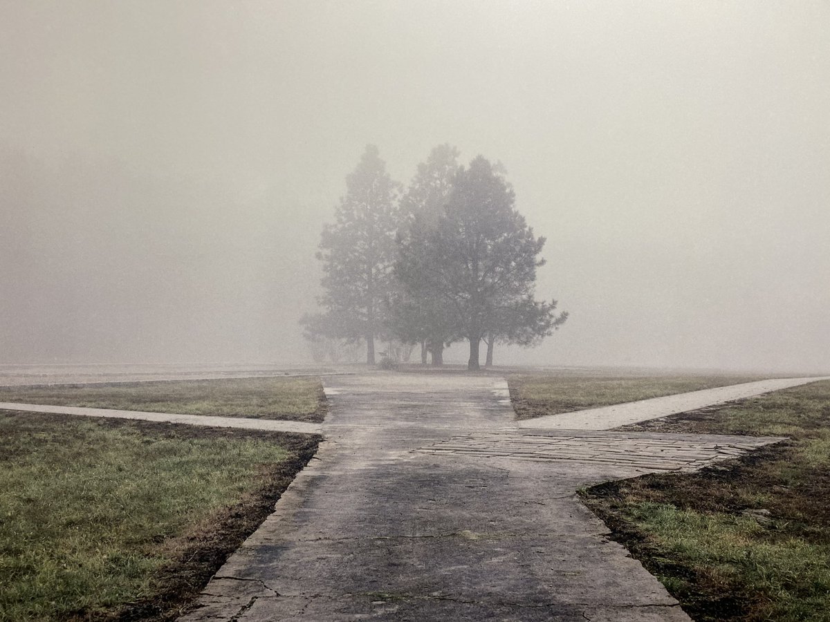 sujculture's tweet image. he sets his dogs on us he gifts us a grave in the air/he plays with the snakes and dreams/your golden hair Margarete/your ashen hair Shulamit/black milk of dawn we drink you
📸#MarcWilson🇬🇧@MarcwilsonPhoto ▶️#AWoundedLandscape 🎟#SideGallery @SideGallery ℹ️amber-online.com/whatson/a-woun…