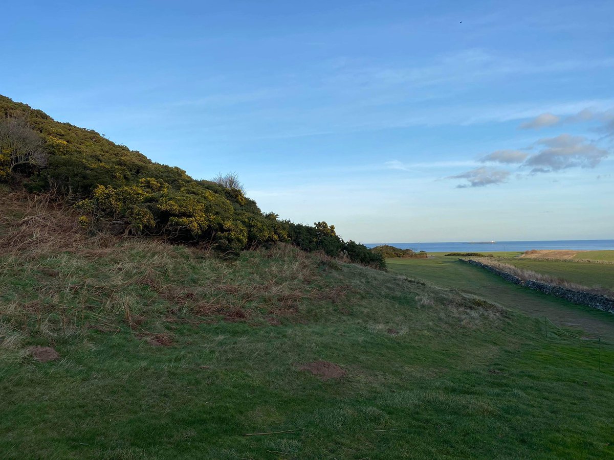 BGreenkeeping's tweet photo. One of this weeks focus has been removing gorse from the bank side on the left of 17. The gorse had become overgrown and damaged from strong winds, removing this has opened the view down the left hand side of the holes from the yellow and white tees. ☀️⛳️🏌️‍♂️💨 https://t.co/OMdWTvvuaB