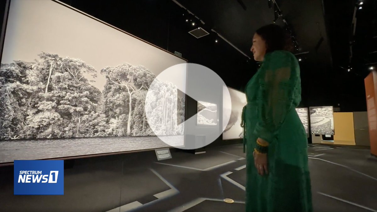 ▶️ @SpecNews1SoCal spoke with @amazonwatch's @LeilaSalazar10 about the vital importance of the health of the #Amazon rainforest, and @casciencecenter's Jeffrey Rudolph about the timely significance of Sebastião Salgado’s #Amazonia: bit.ly/3ltGRKt.