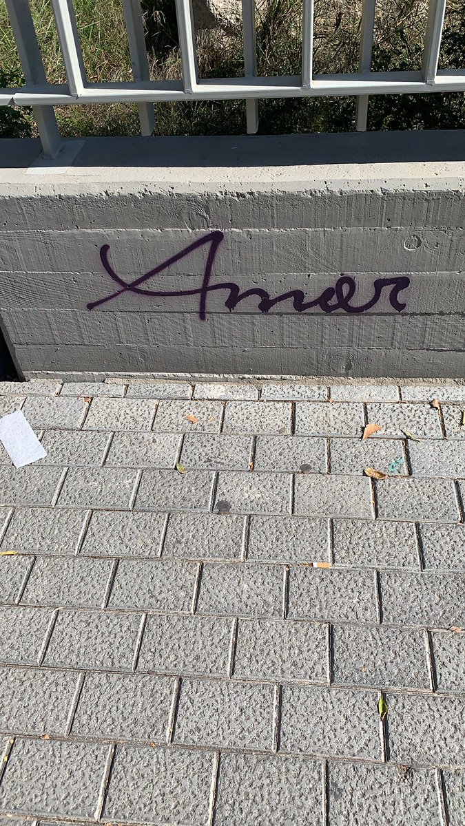 raqueltiradofdz's tweet photo. Si conoces Valencia, te habrás fijado en que está  llena de grafitis con la palabra «Amor».

Esta es la historia de como descubrí quién estaba detrás del grafiti y escribí una novela por el camino.

(abro hilo) https://t.co/R2smq5C03B