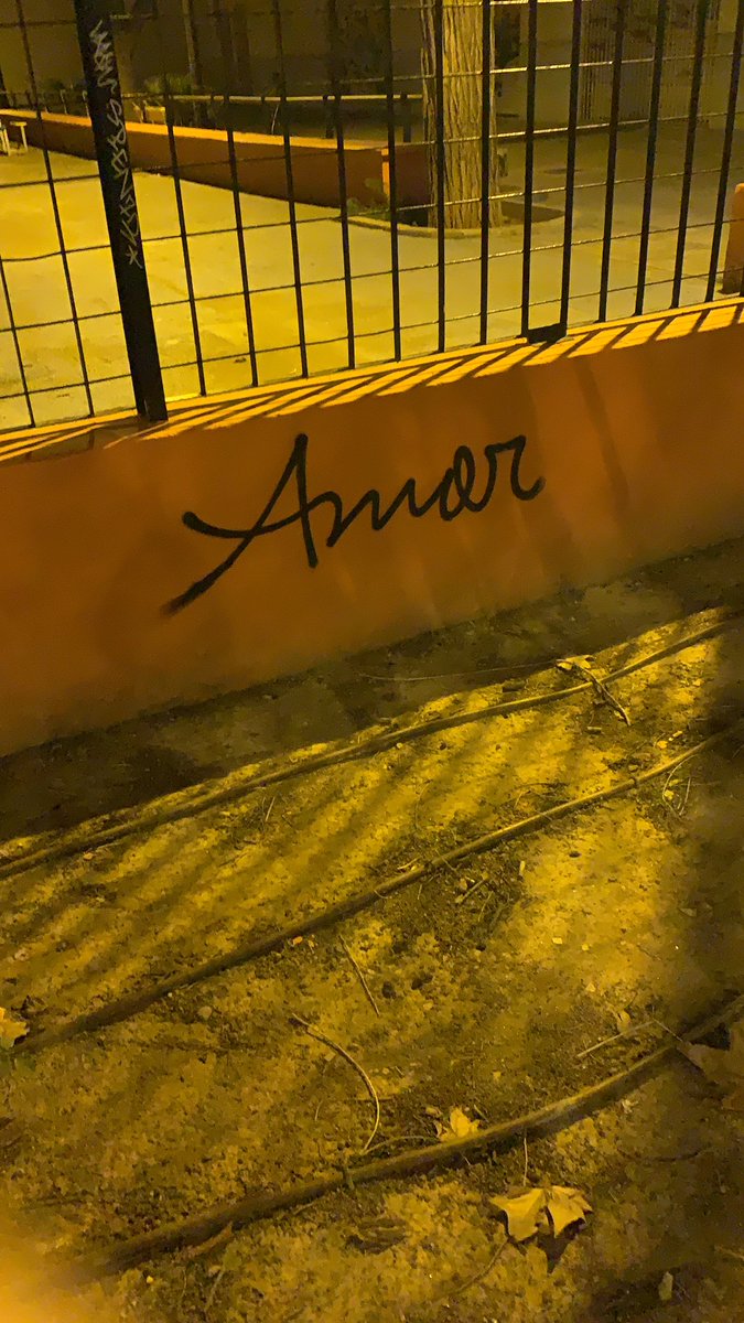raqueltiradofdz's tweet photo. Si conoces Valencia, te habrás fijado en que está  llena de grafitis con la palabra «Amor».

Esta es la historia de como descubrí quién estaba detrás del grafiti y escribí una novela por el camino.

(abro hilo) https://t.co/R2smq5C03B