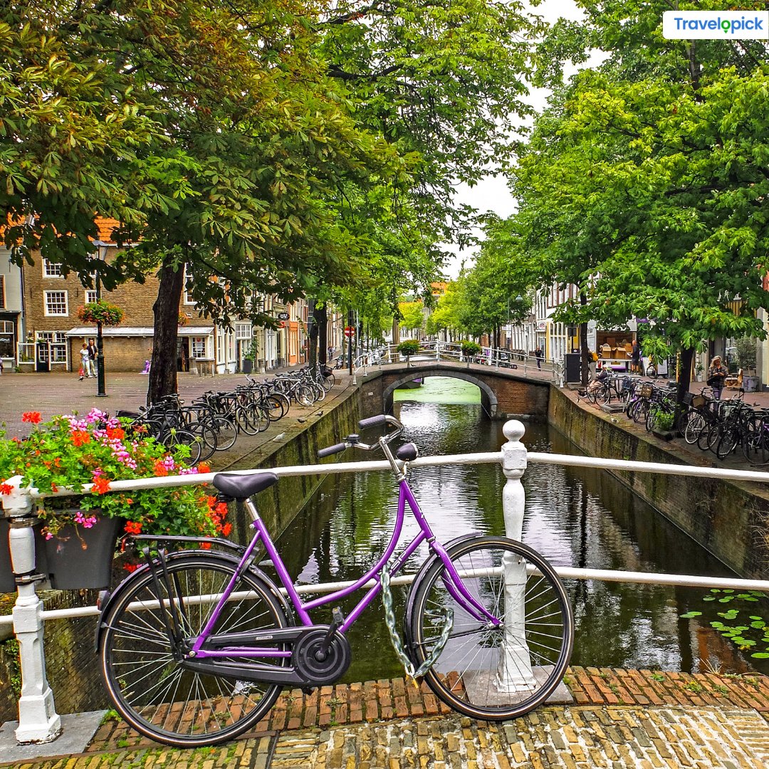 travelopick's tweet image. Delft is a cozy little town in South Netherland is filled with exquisite and medieval wonders. 
Visit tinyurl.com/p3w5zhn4

#delft #delftnetherlands #netherlands #netherlands_captured #netherlandtravel