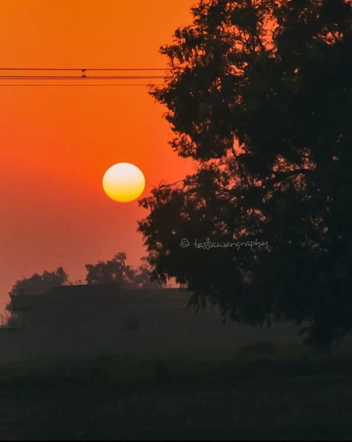 تصور علی tweet media