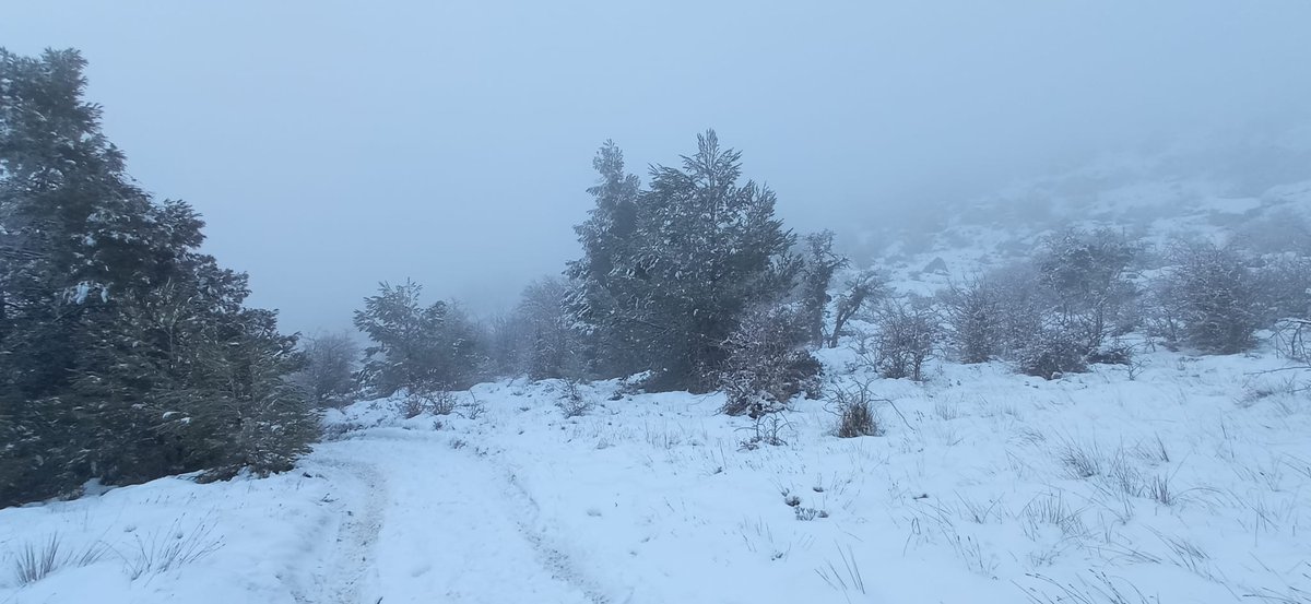 MeteOrihuela tweet media