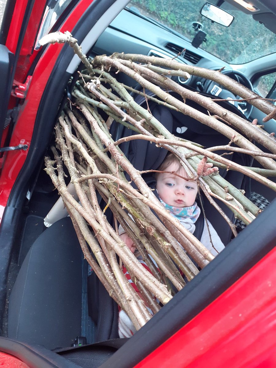 Baby: packed
Binders: packed
Stakes: packed
Were off hedgelaying!