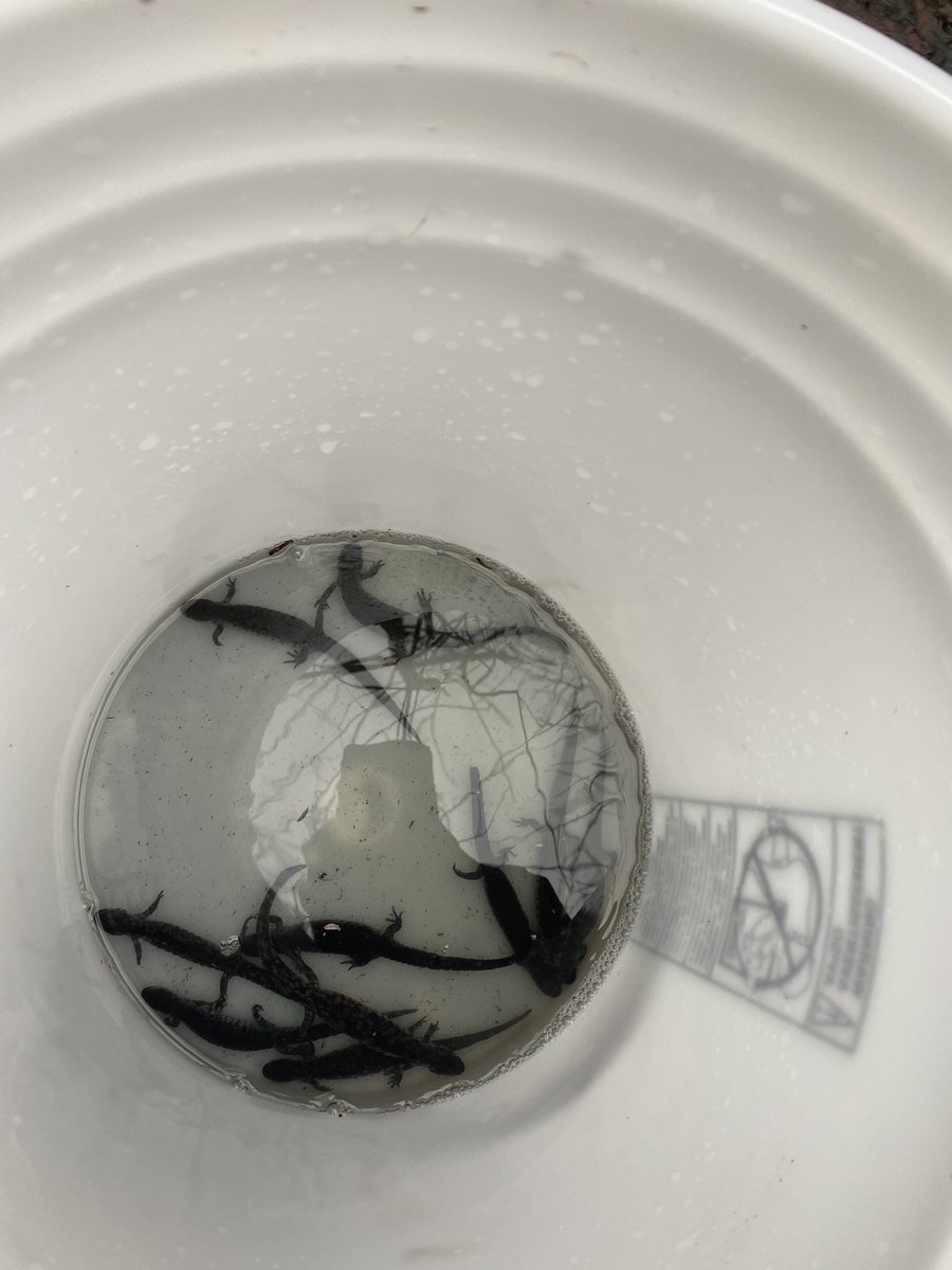 Dr. Cassie Thompson tweet media