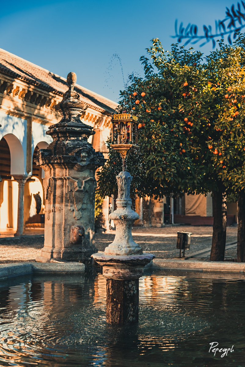 Córdoba a través de mi cámara📷