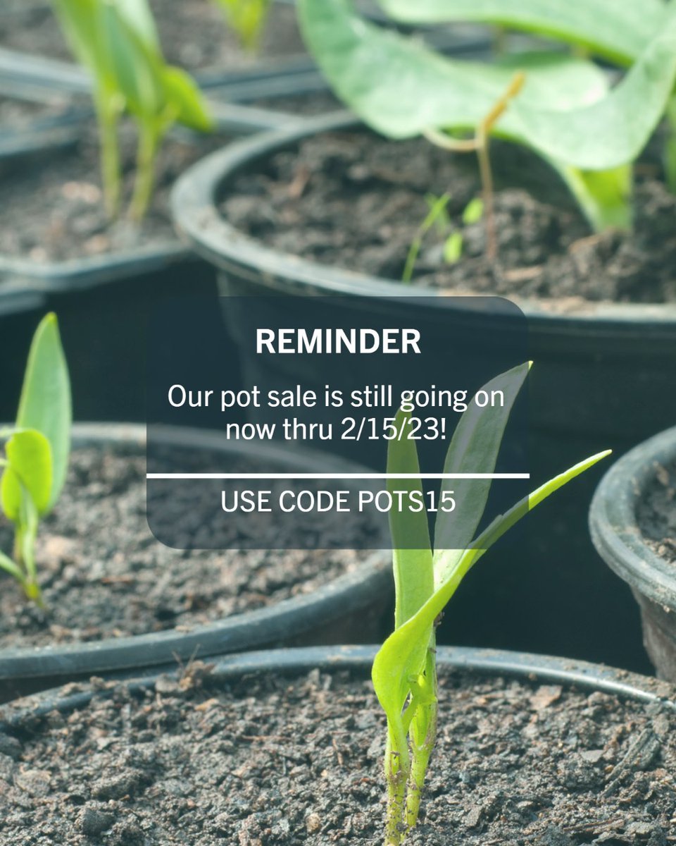 GreenhouseMega's tweet photo. Just a friendly reminder that you have 5 days left until the sales ends! Take 15% off all our colored pots, biodegradable pots, and nursery pots. This is the time to stock up on all your potting needs, while this special offer last. #growingwithgms #sustainablegardening #offgrid https://t.co/8etLJBaav5